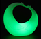 16 Color change PE Swan LED Decorative Light