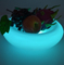 Rechargable LED Ice Bucket and Fruit Tray